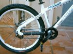 single speed.jpg