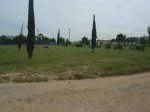 Campillo 6.JPG