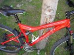 Specialized 004b.jpg