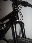IMGP0929.jpg