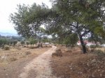 20130830_091929.jpg
