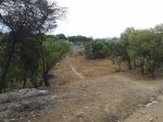 20130830_093442.jpg