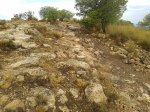 20130830_094014.jpg