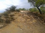 20130830_094524.jpg