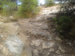 20130830_095804.jpg