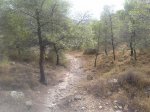 20130830_095814.jpg