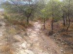 20130830_095849.jpg
