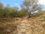 20130830_095919.jpg