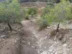 20130830_101026.jpg