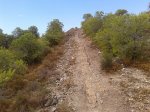 20130830_101423.jpg