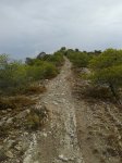 20130830_101712.jpg