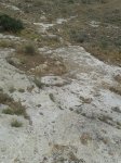 20130830_104257.jpg