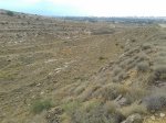 20130830_104531.jpg