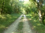 DSC_0017.jpg