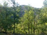 DSC_0035.jpg
