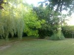 DSC_0056.jpg