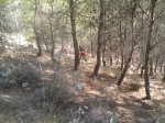 2013-09-01 10.39.37.jpg