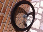 resized_IMG_8793.jpg