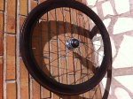 resized_IMG_8794.jpg
