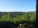 IMG-20130815-WA003.jpg