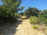 IMG-20130815-WA005.jpg