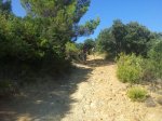 IMG-20130815-WA008.jpg