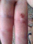 IMG-20130816-WA001.jpg