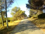 Imagen2458.jpg