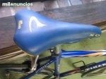 pinarello7.jpg