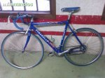 pinarrello 2.jpg