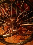 IMG_20130506_080859.jpg