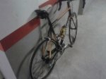 orbea.jpg
