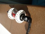 DSC01416.jpg