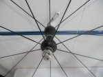 DSCN4548.JPG