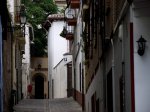 DSCF7593.jpg