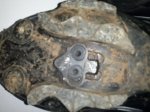 CAM00110.jpg