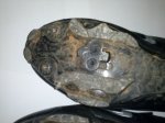 CAM00111.jpg