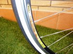 Merida 6.jpg