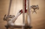 hampsten-cycles-7-11-tribute-8.jpg
