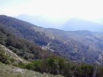 aspin1.jpg