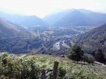 aspin2.jpg
