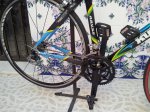 BICI 2 (2).jpg