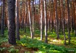 DSCN4945.JPG