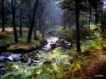 DSCN4942.JPG
