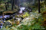 DSCN4943.JPG
