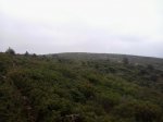 2013-09-07 13.05.06_800x600.jpg