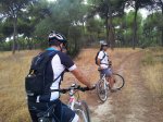 ruta_02_pinares.jpg