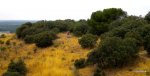 DSCN4950.JPG