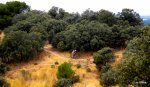 DSCN4952.JPG