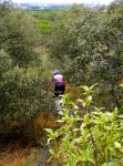 DSCN4961.JPG